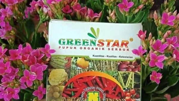 greenstar jual murah